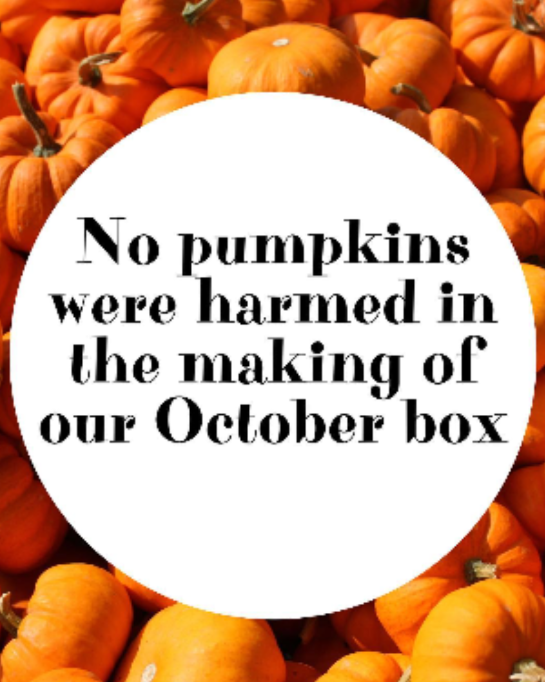 Marshmallow of the Month Club: Apple (October 2019)