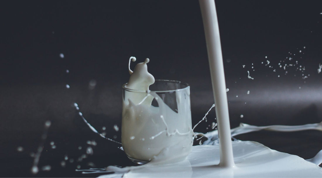 The Best Lactose Free Milk for Hot Chocolate: Which Option Wins?