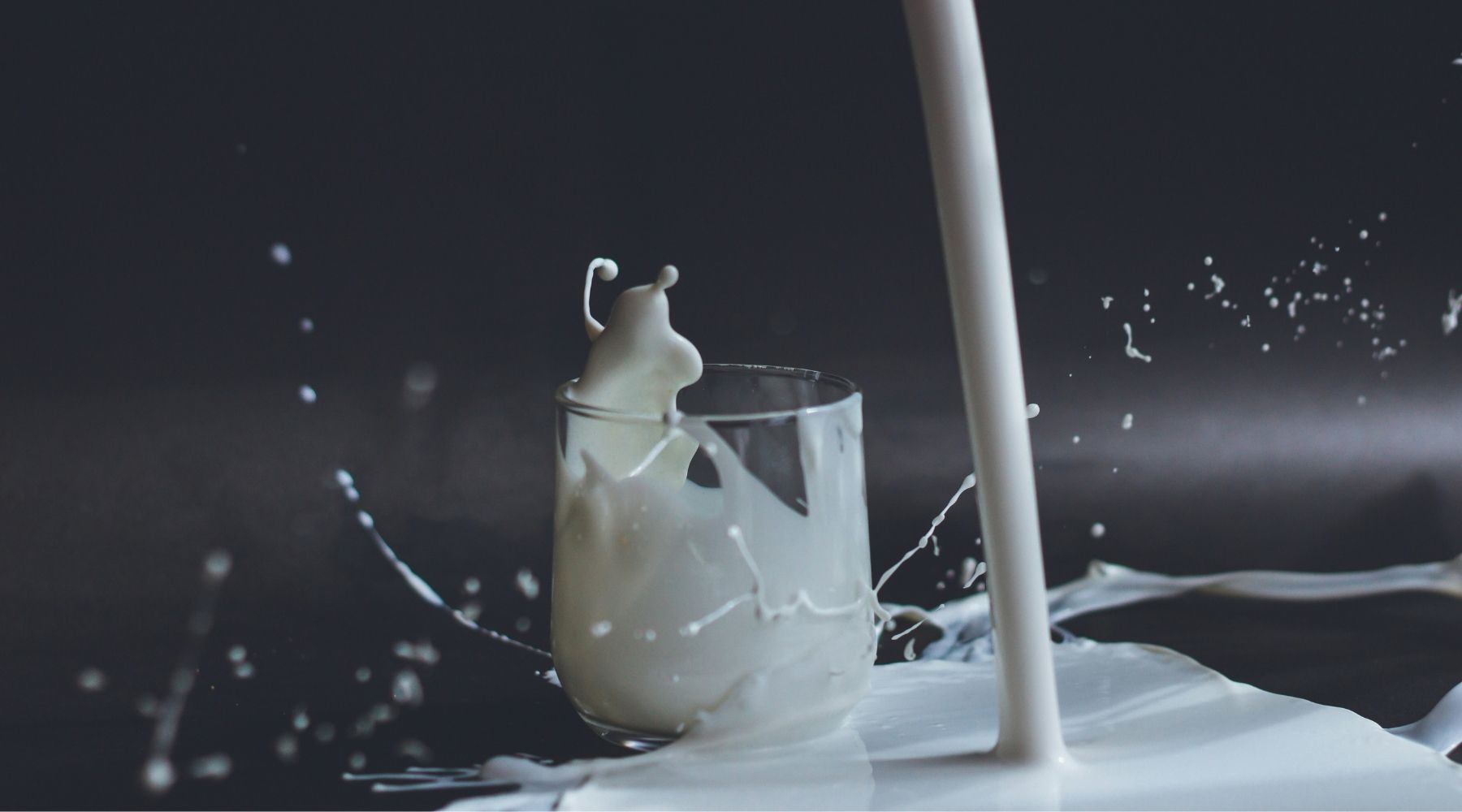 The Best Lactose Free Milk for Hot Chocolate: Which Option Wins?