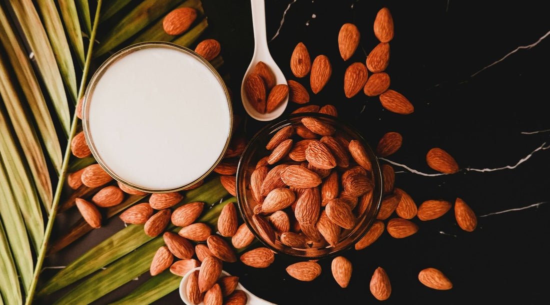 What’s the Best Non-Dairy Milk for Hot Chocolate?